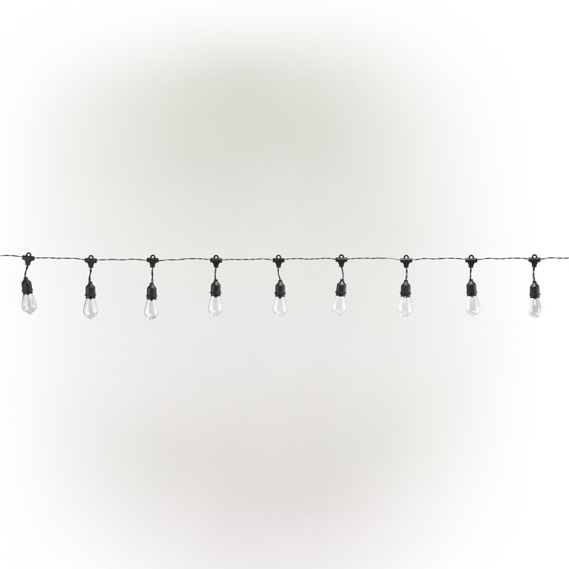 Williston Marro 7.5'' Indoor LED Battery Powered 10 Bulb Globe